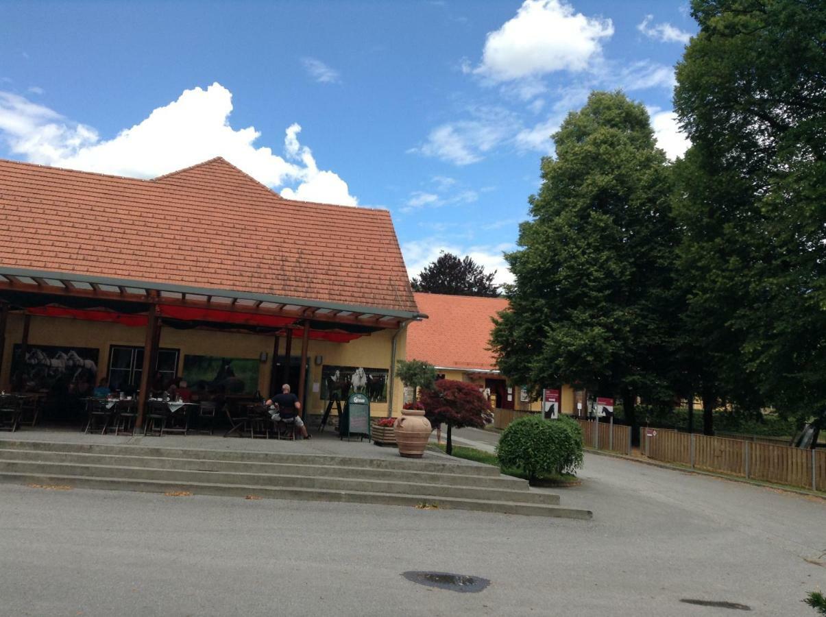 Weststeirische Ferienwohnung Piber ภายนอก รูปภาพ
